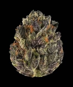 Buy Tropicana Cookies Strain