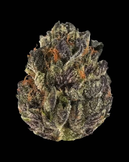 Buy Tropicana Cookies Strain