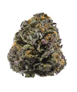 Buy Granddaddy Purple Strain