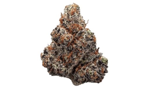 Buy Northern Lights Strain