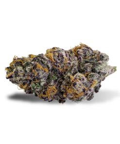 Purple Punch